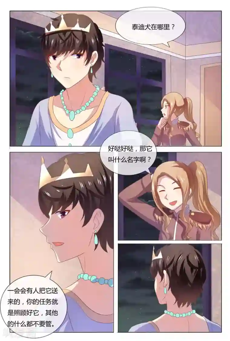 我的房东是泰迪第52话