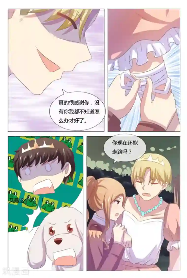 我的房东是泰迪第52话