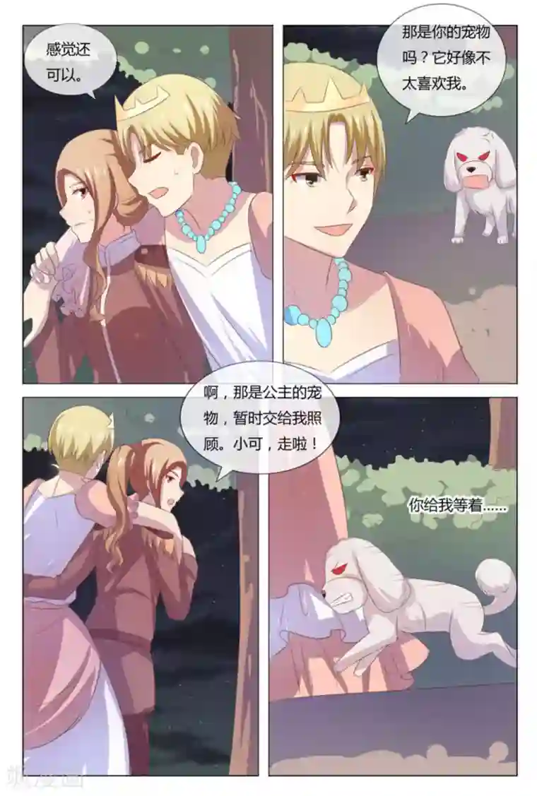 我的房东是泰迪第52话