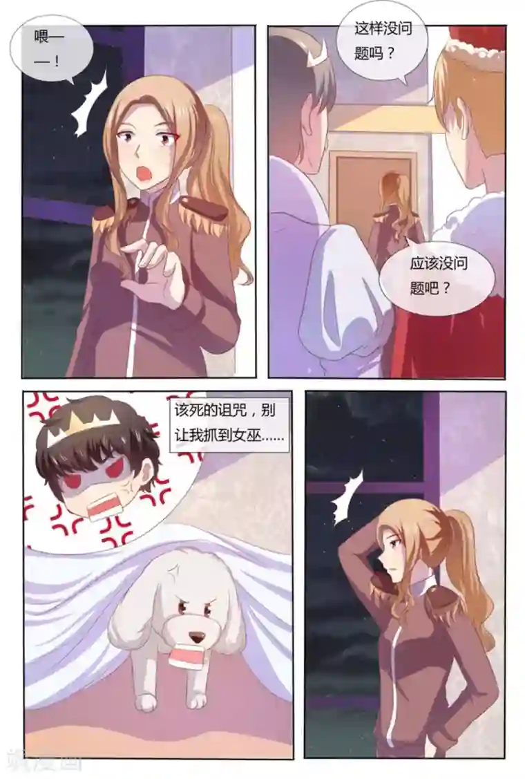 我的房东是泰迪第52话