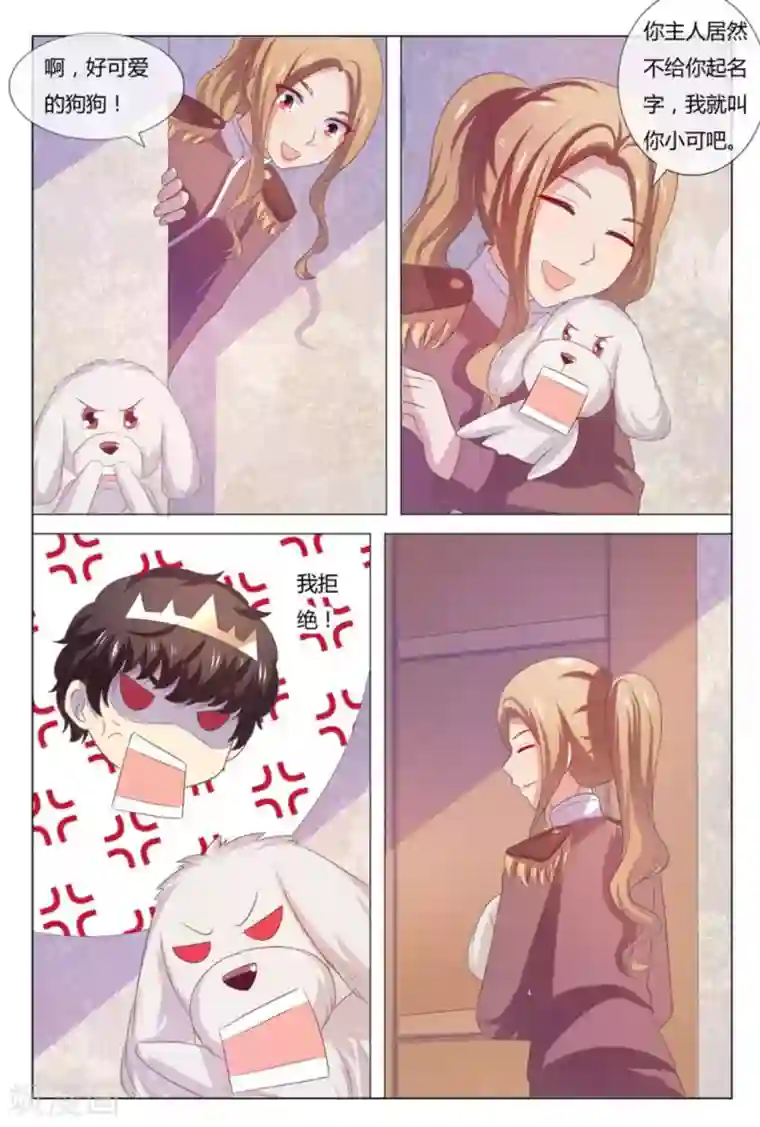 我的房东是泰迪第52话