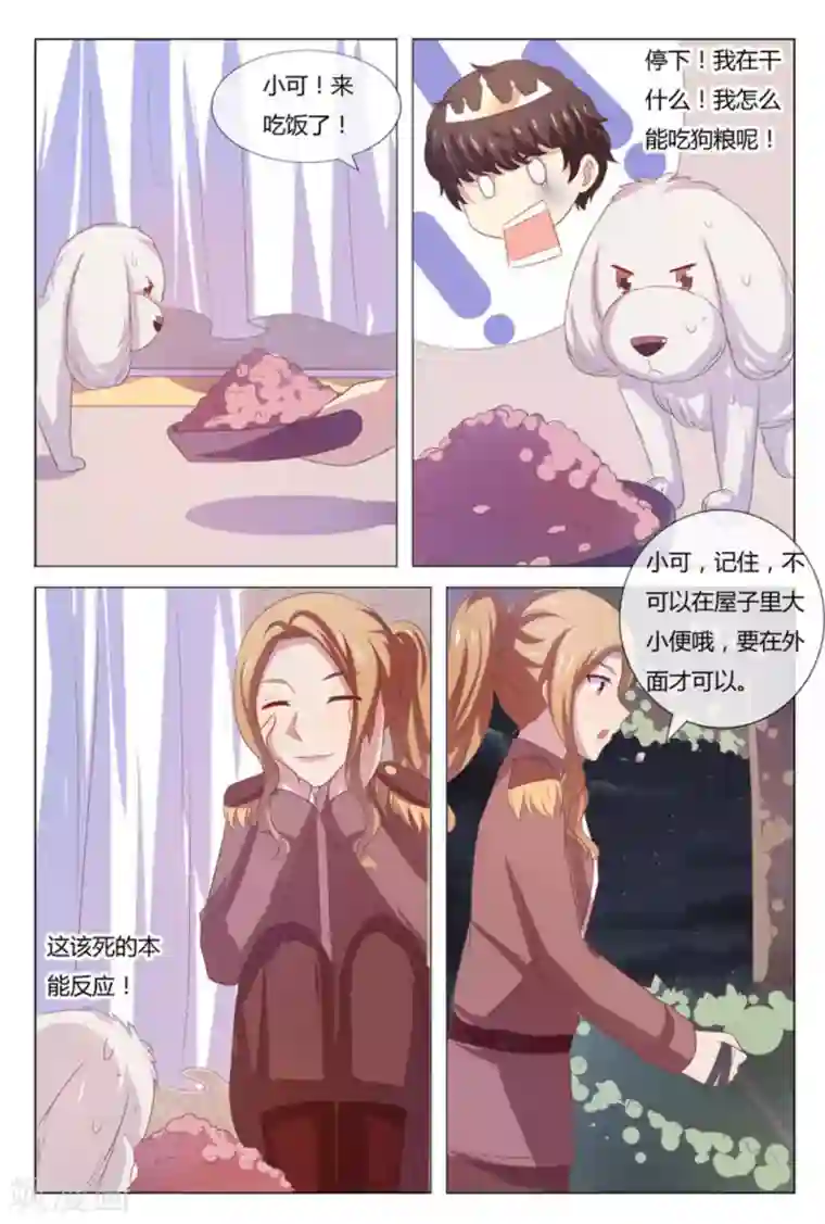 我的房东是泰迪第52话