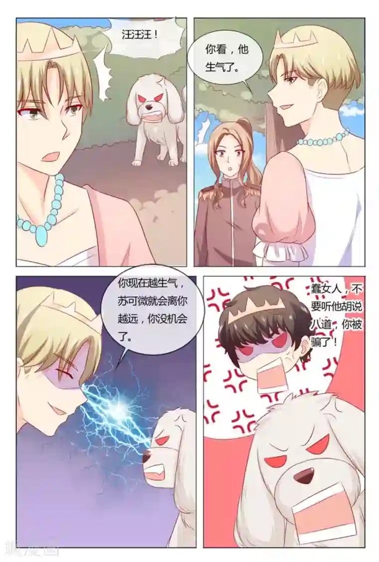 我的房东是泰迪第55话