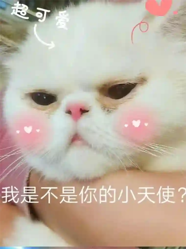 微甜时速第47话