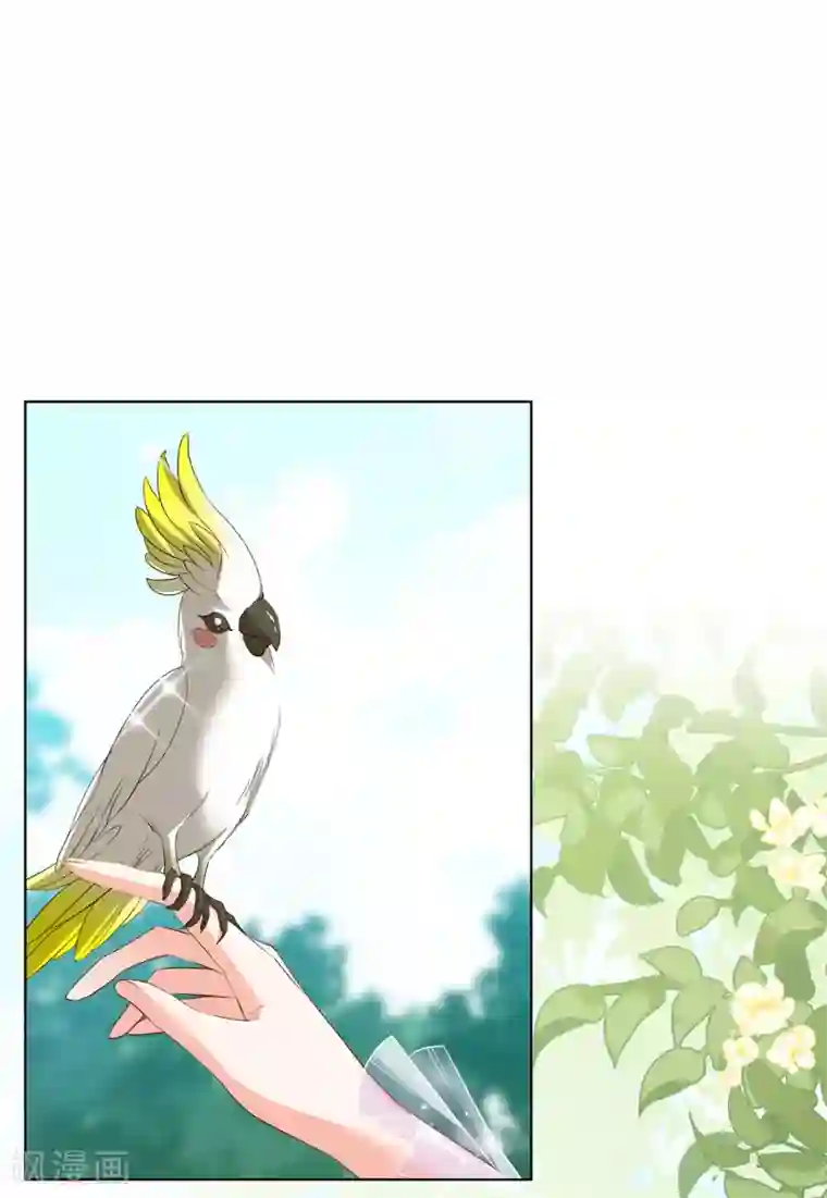 她来了，请趴下第118话 百兽狂奔1