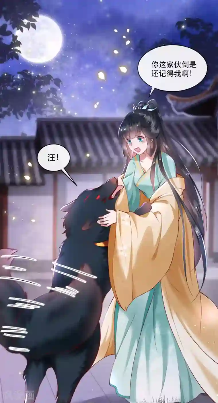 这个王妃路子野第50话 喝了迷魂药，过了奈何桥