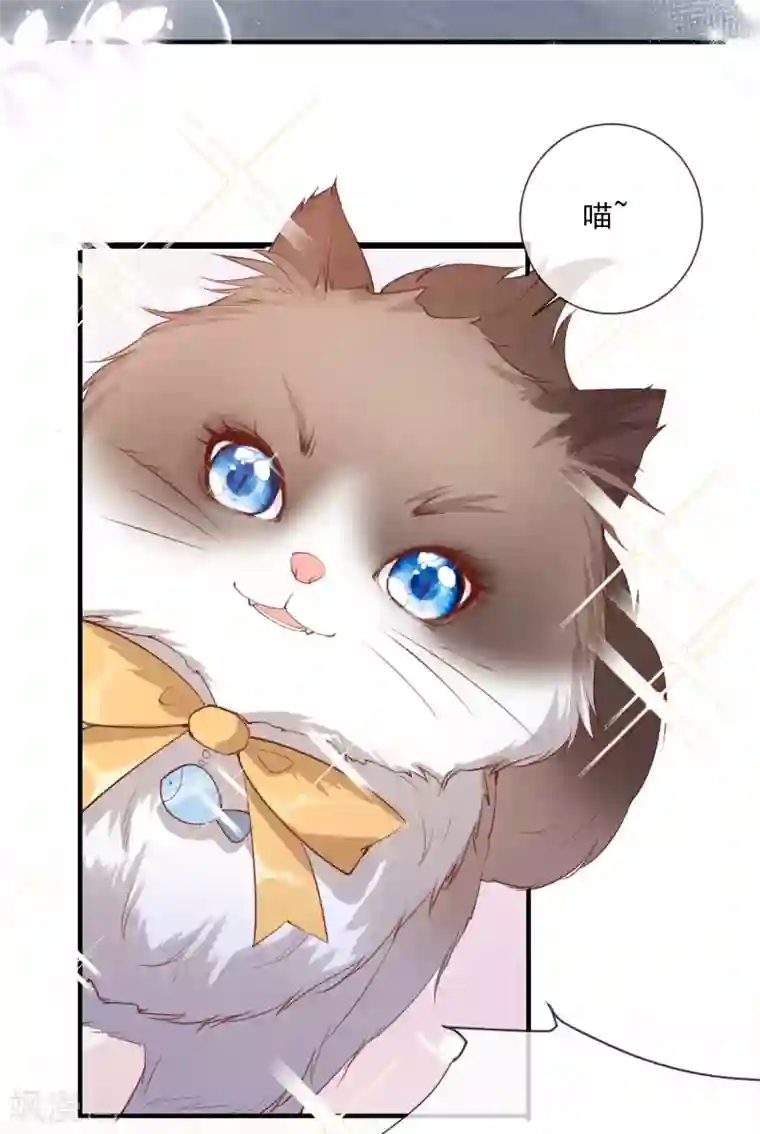 陆总，你老婆又上热搜啦！第3话 大姐，请不要妨碍我们拍戏！