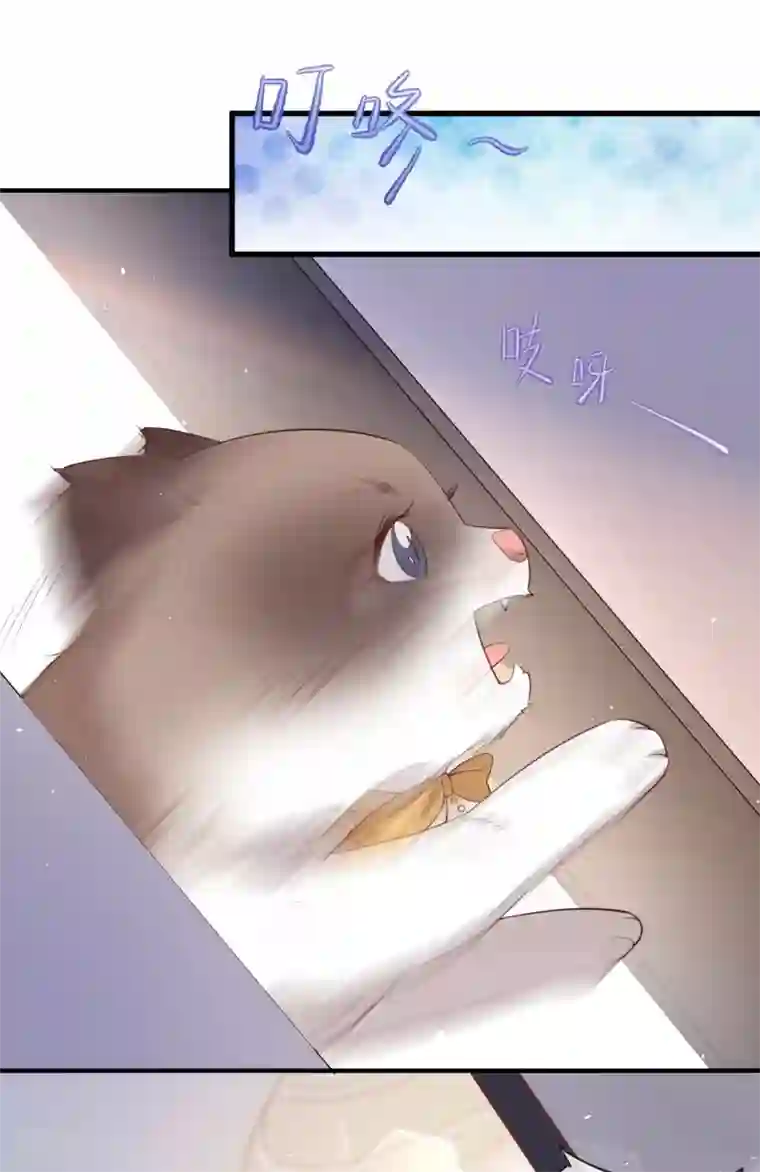 陆总，你老婆又上热搜啦！第3话 大姐，请不要妨碍我们拍戏！