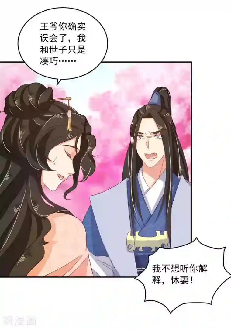 戏精王妃很撩人第17话