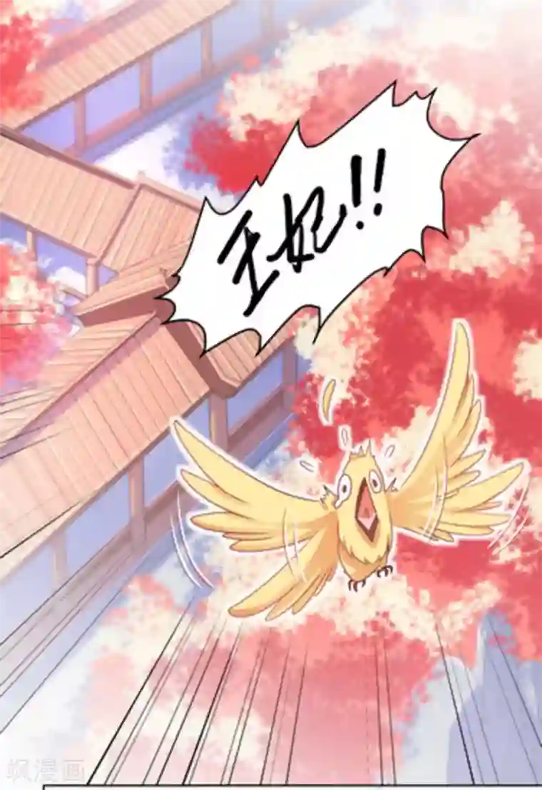 戏精王妃很撩人第29话