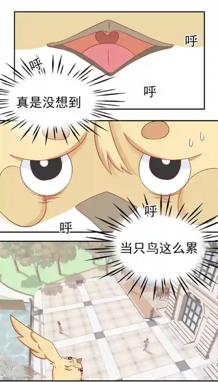 冤家小小鸟第6话