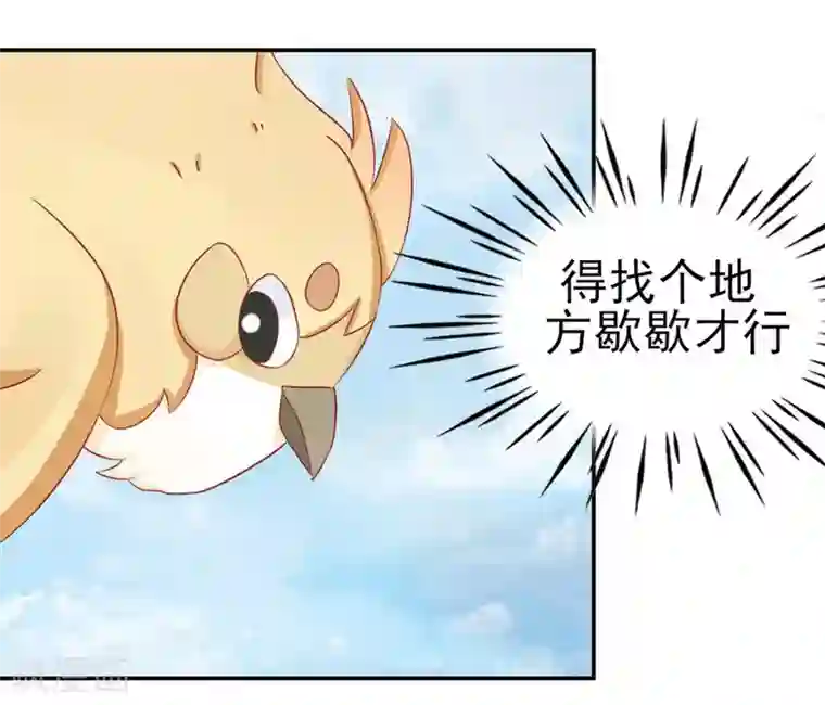 冤家小小鸟第6话