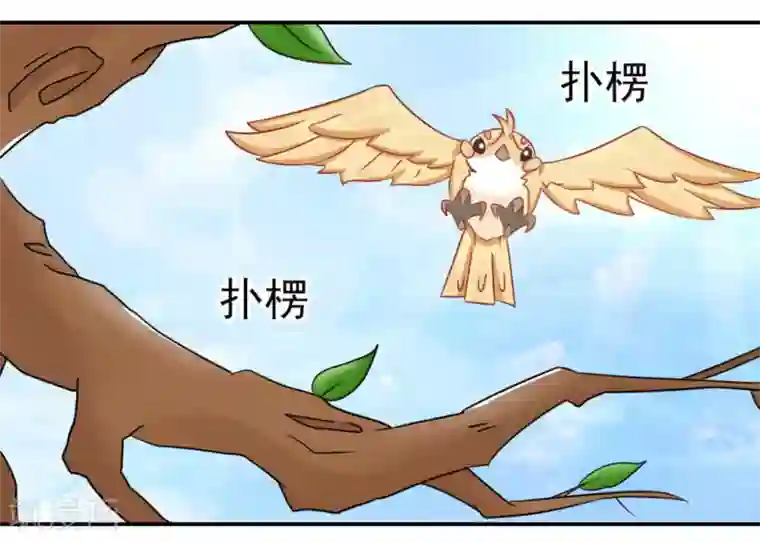 冤家小小鸟第6话