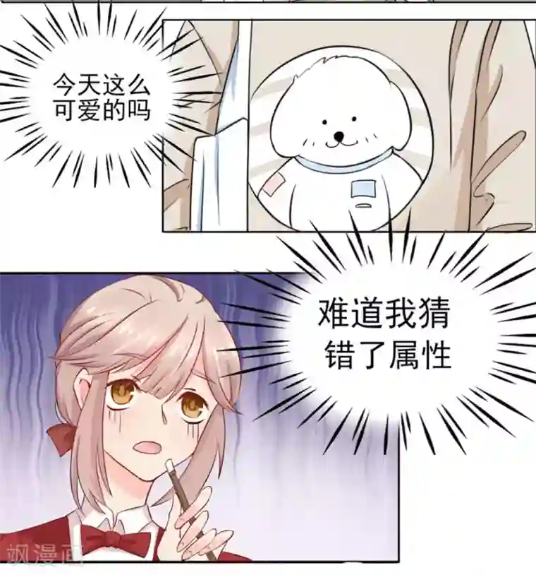 冤家小小鸟第7话