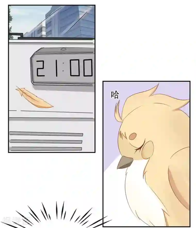 冤家小小鸟第9话