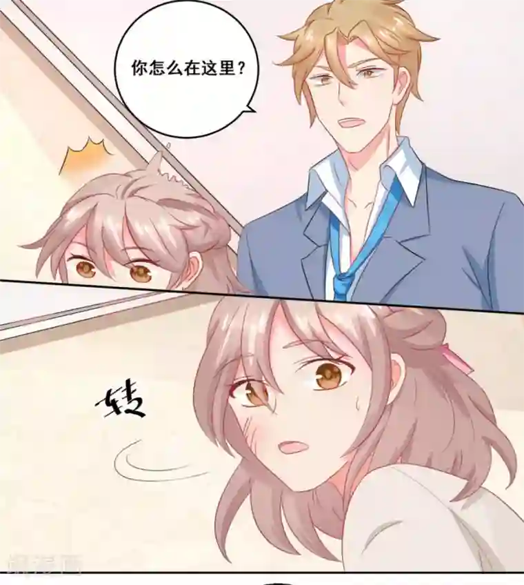 冤家小小鸟第19话