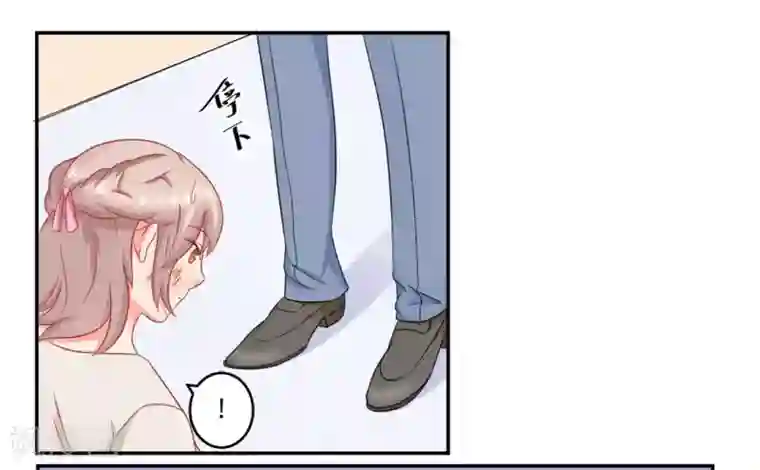 冤家小小鸟第19话