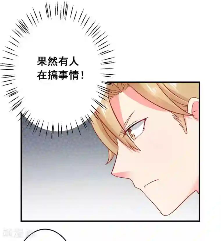 冤家小小鸟第39话