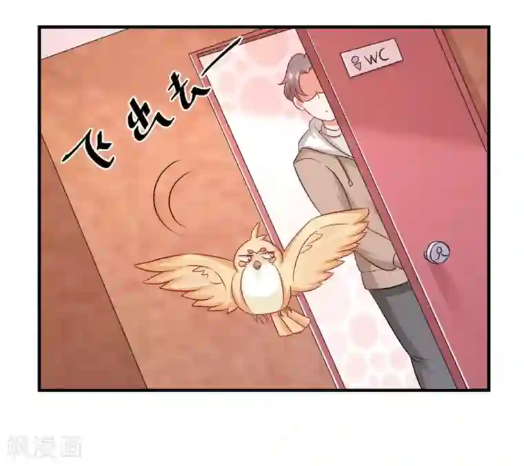 冤家小小鸟第41话