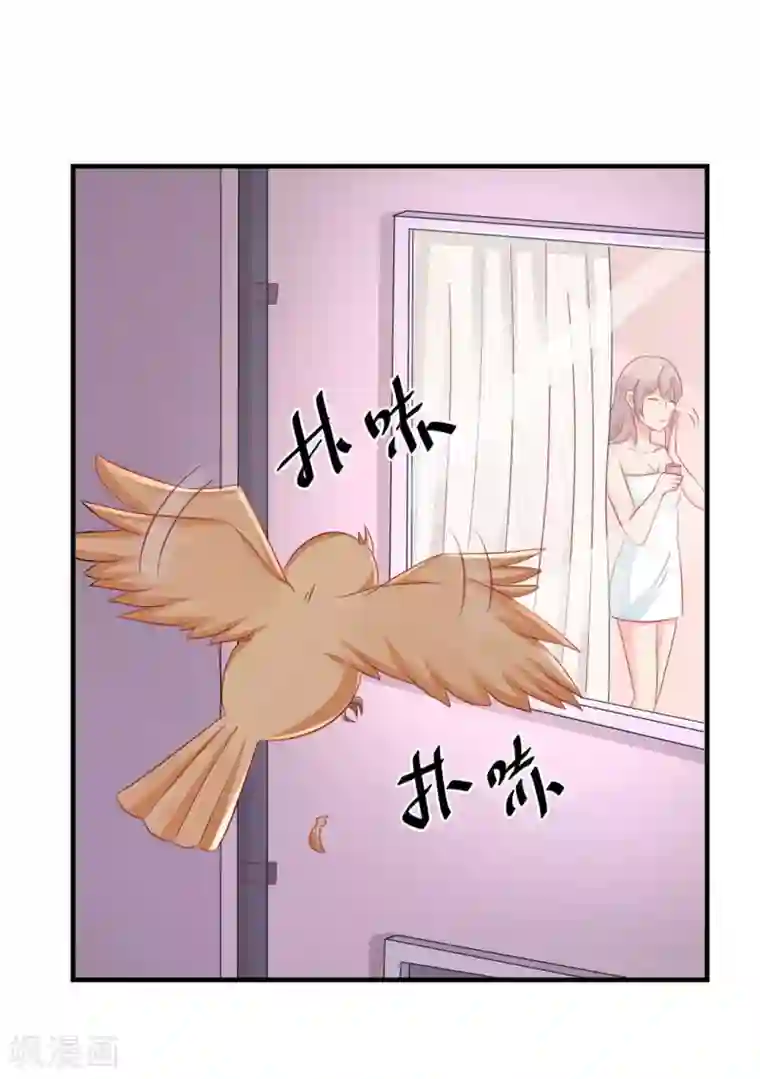 冤家小小鸟第41话