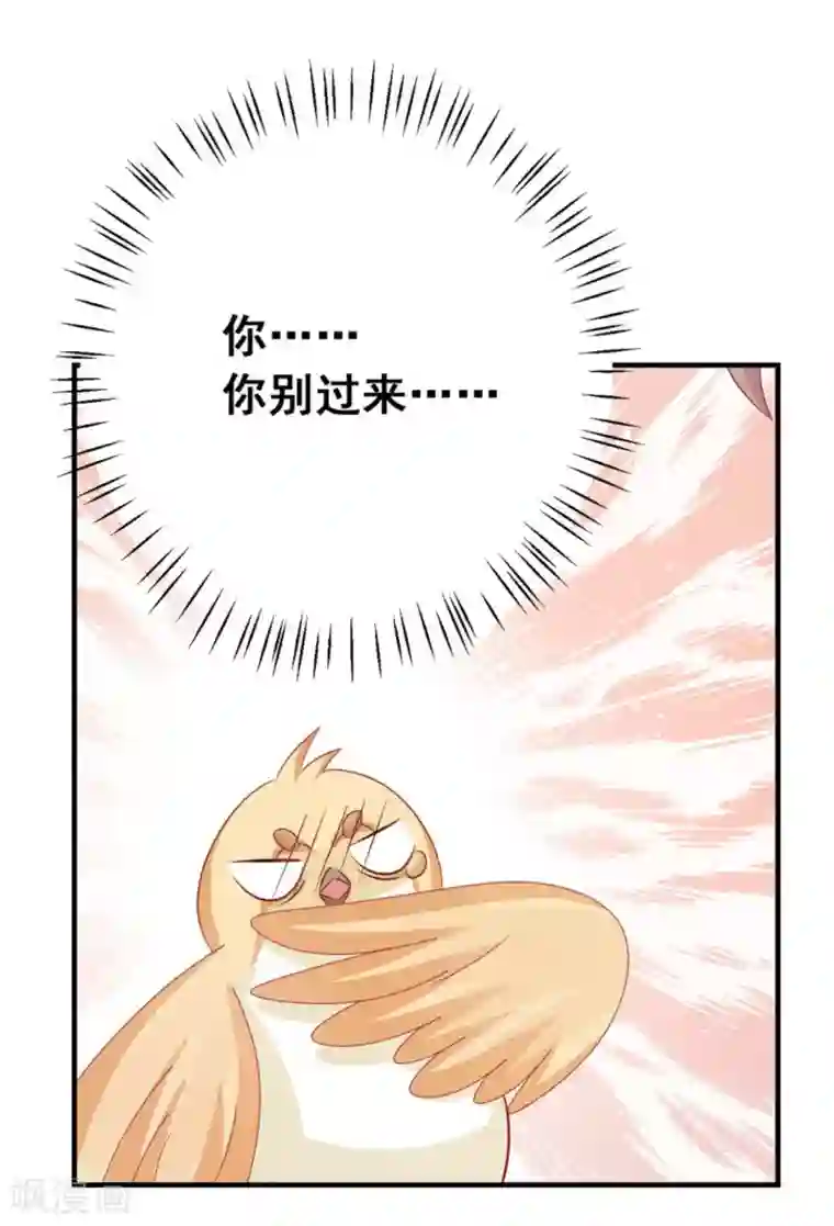 冤家小小鸟第41话