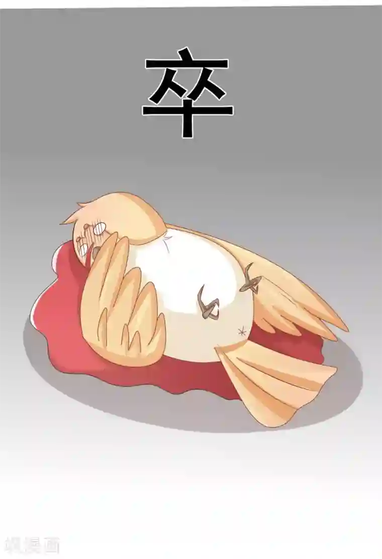 冤家小小鸟第41话