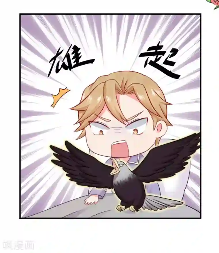 冤家小小鸟第42话