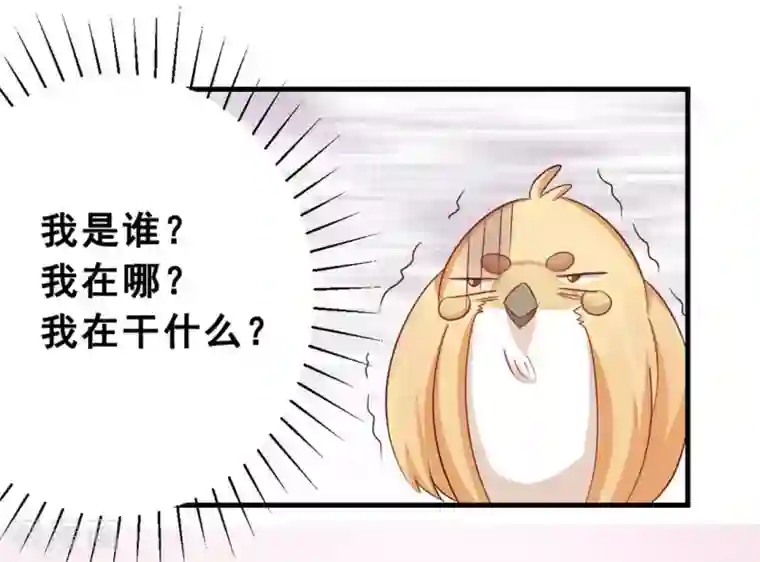 冤家小小鸟第46话