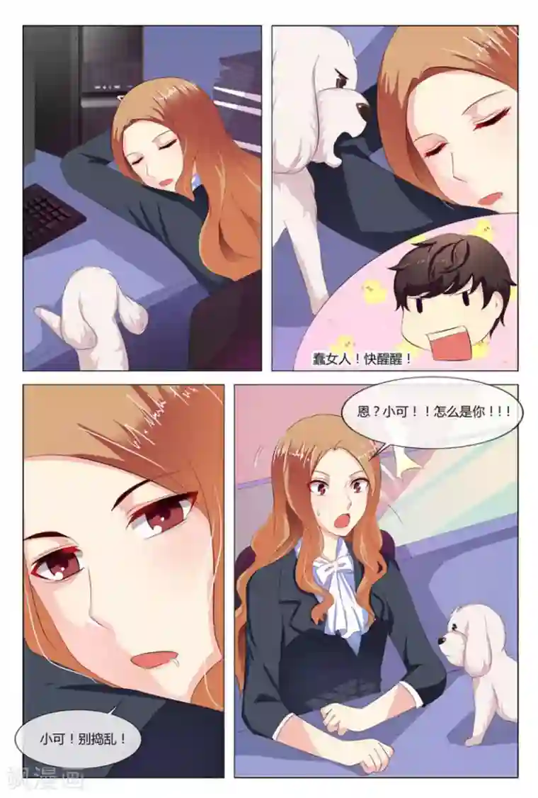 我的房东是泰迪第12话