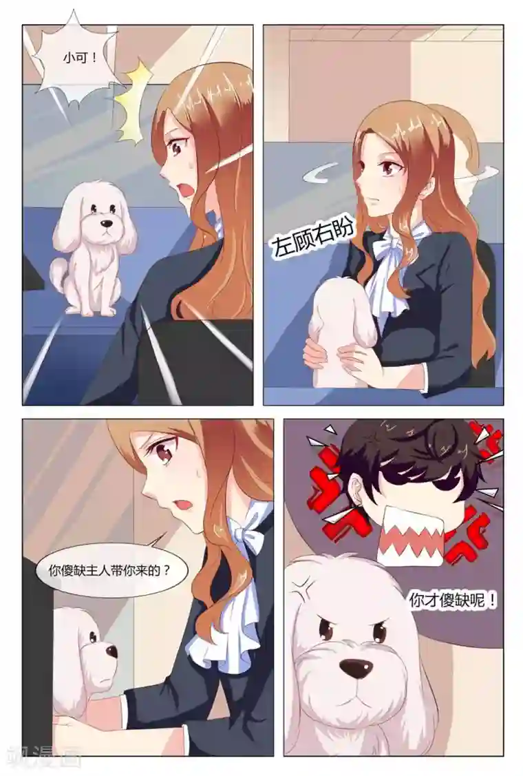 我的房东是泰迪第13话