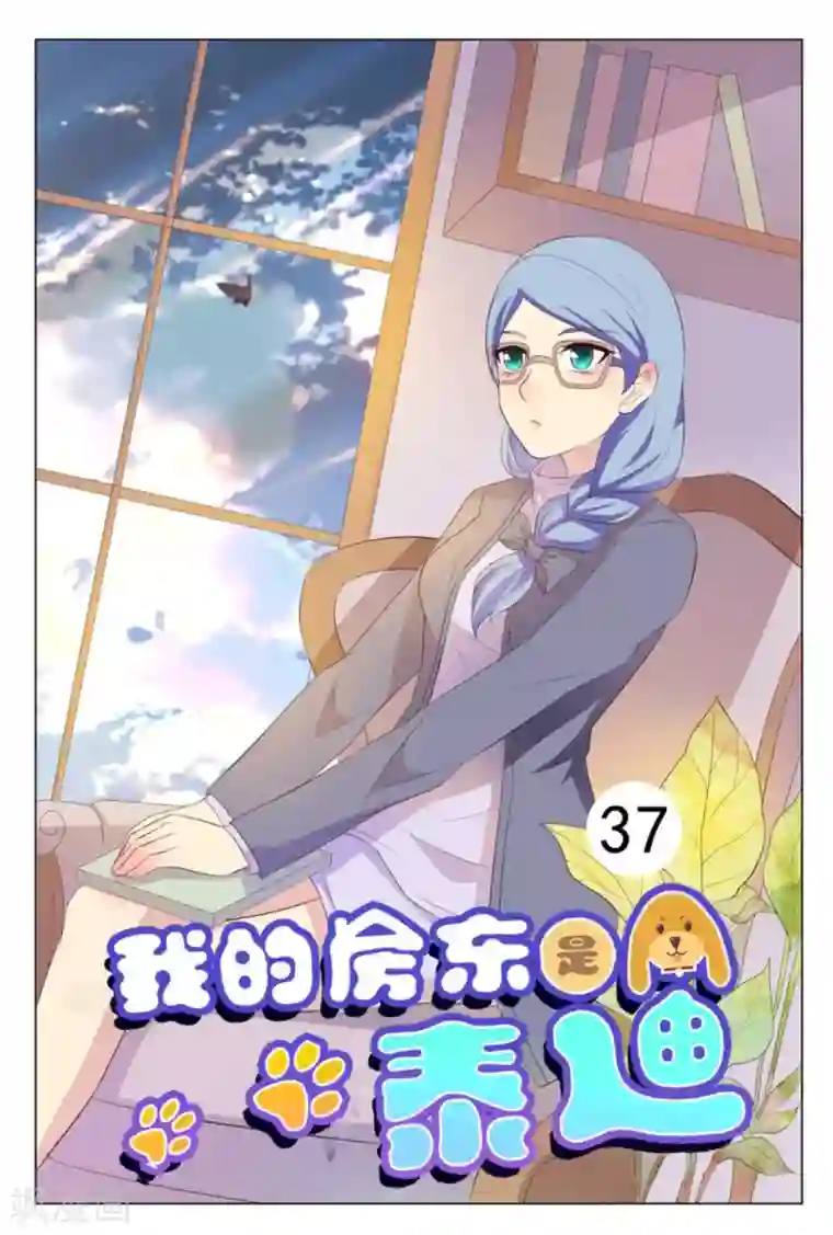 我的房东是泰迪第37话