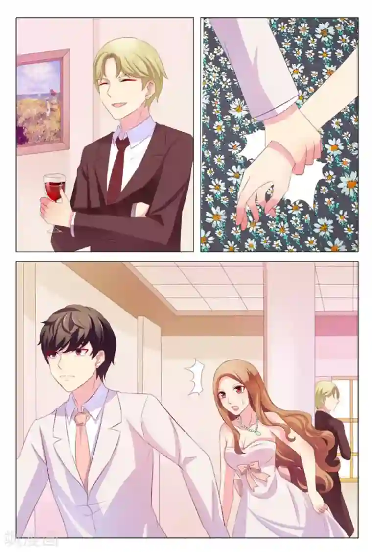 我的房东是泰迪第37话