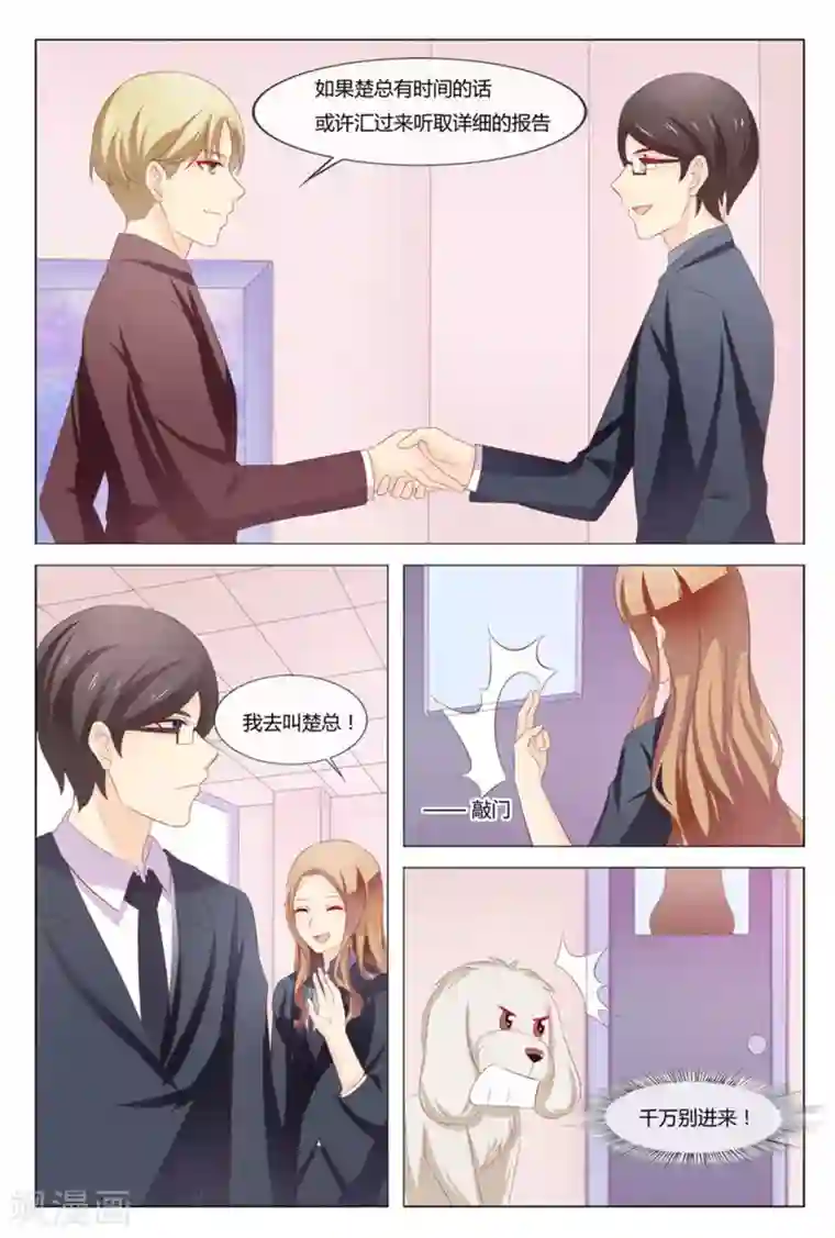 我的房东是泰迪第43话