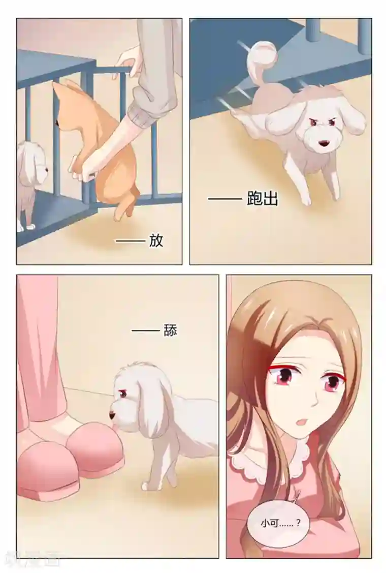 我的房东是泰迪第50话