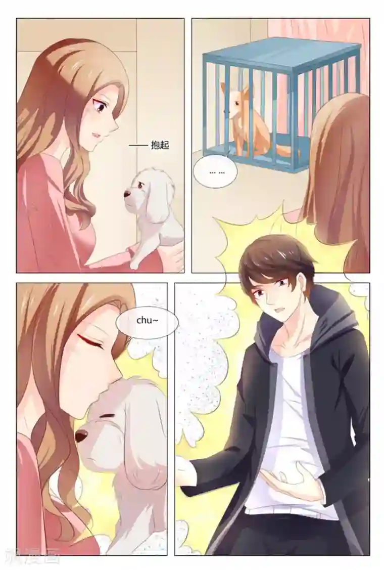 我的房东是泰迪第50话