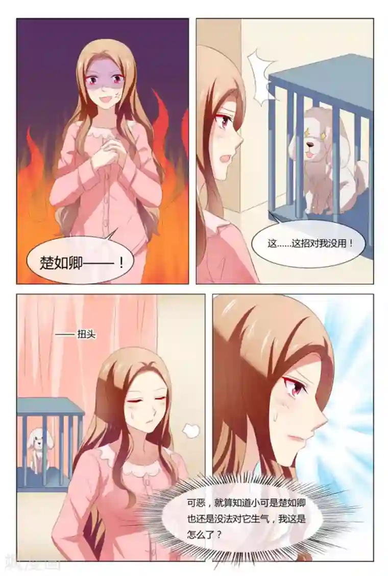 我的房东是泰迪第50话