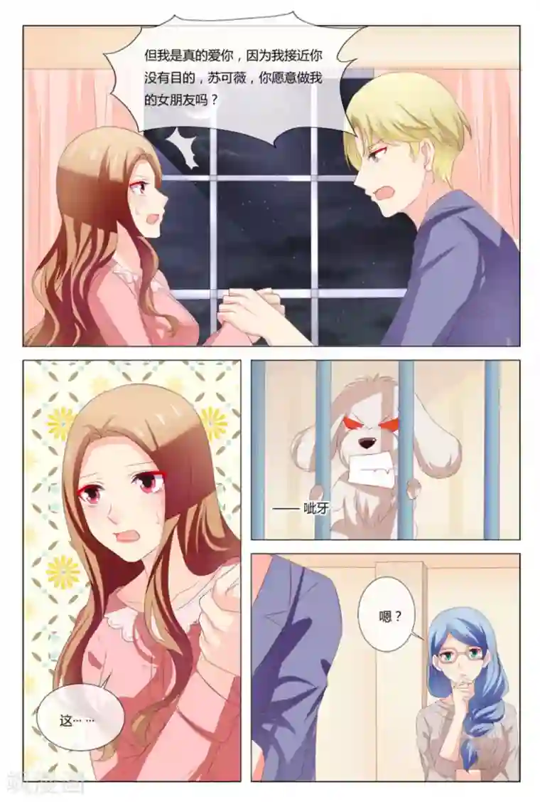 我的房东是泰迪第50话