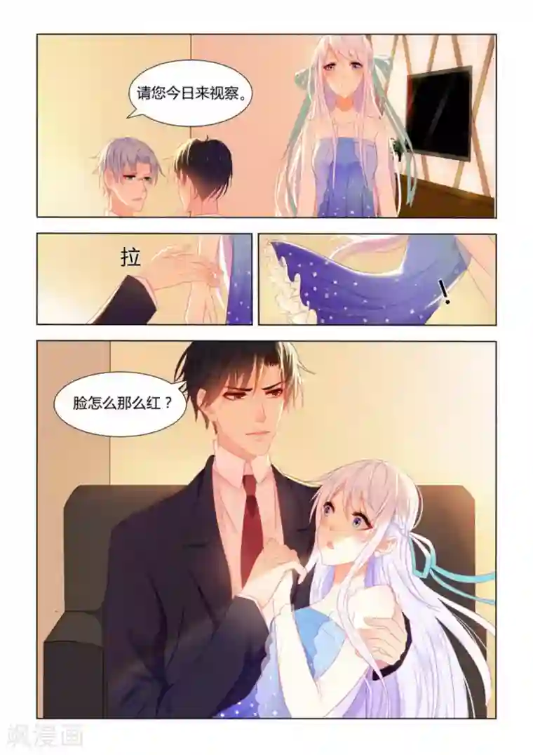 紫色蔷薇第11话