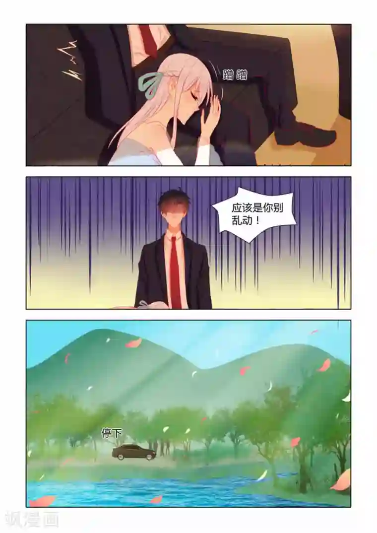 紫色蔷薇第11话