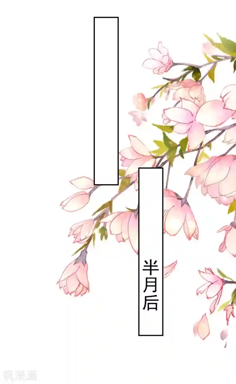 坏心王爷别惹我第240话 小太子