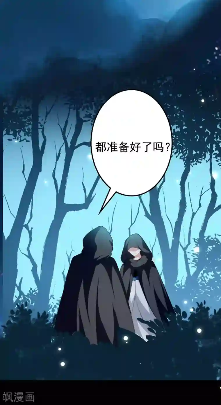 坏心王爷别惹我第240话 小太子