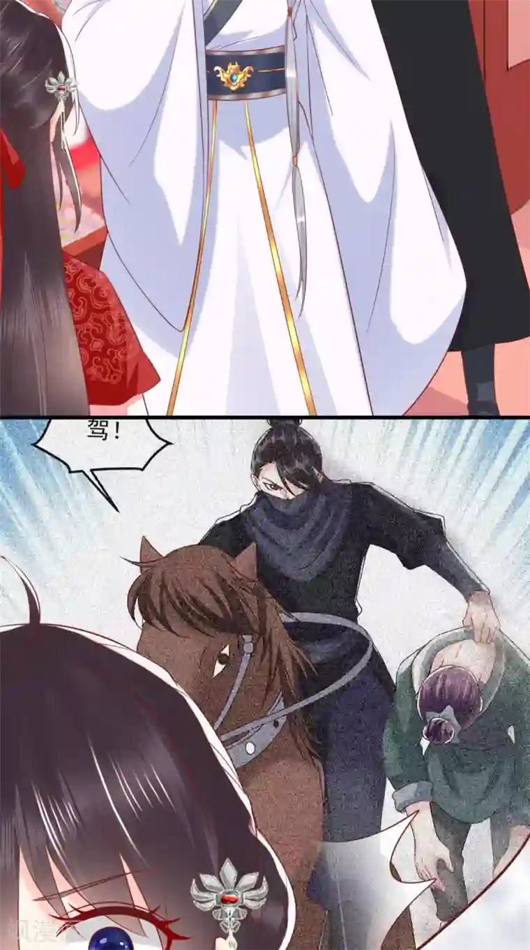 痴傻毒妃不好惹第154话 凤绝尘遇险