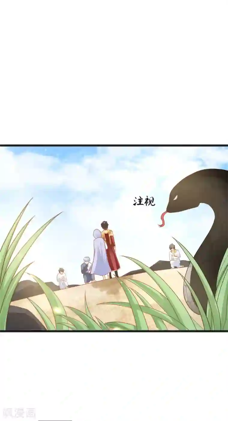 王的第一宠后第100话 开挂少女本领大