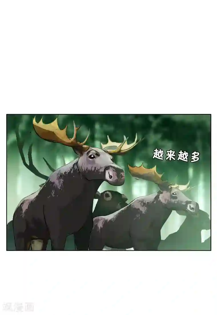 她来了，请趴下第119话 百兽狂奔2