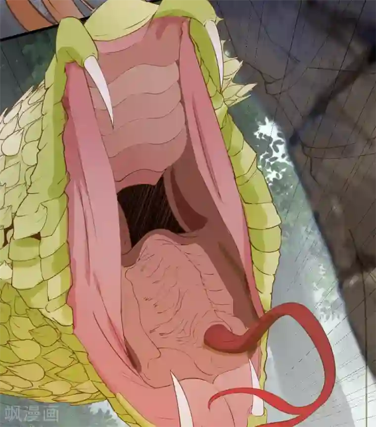 杀手王妃不好惹第75话 草率的武功秘籍