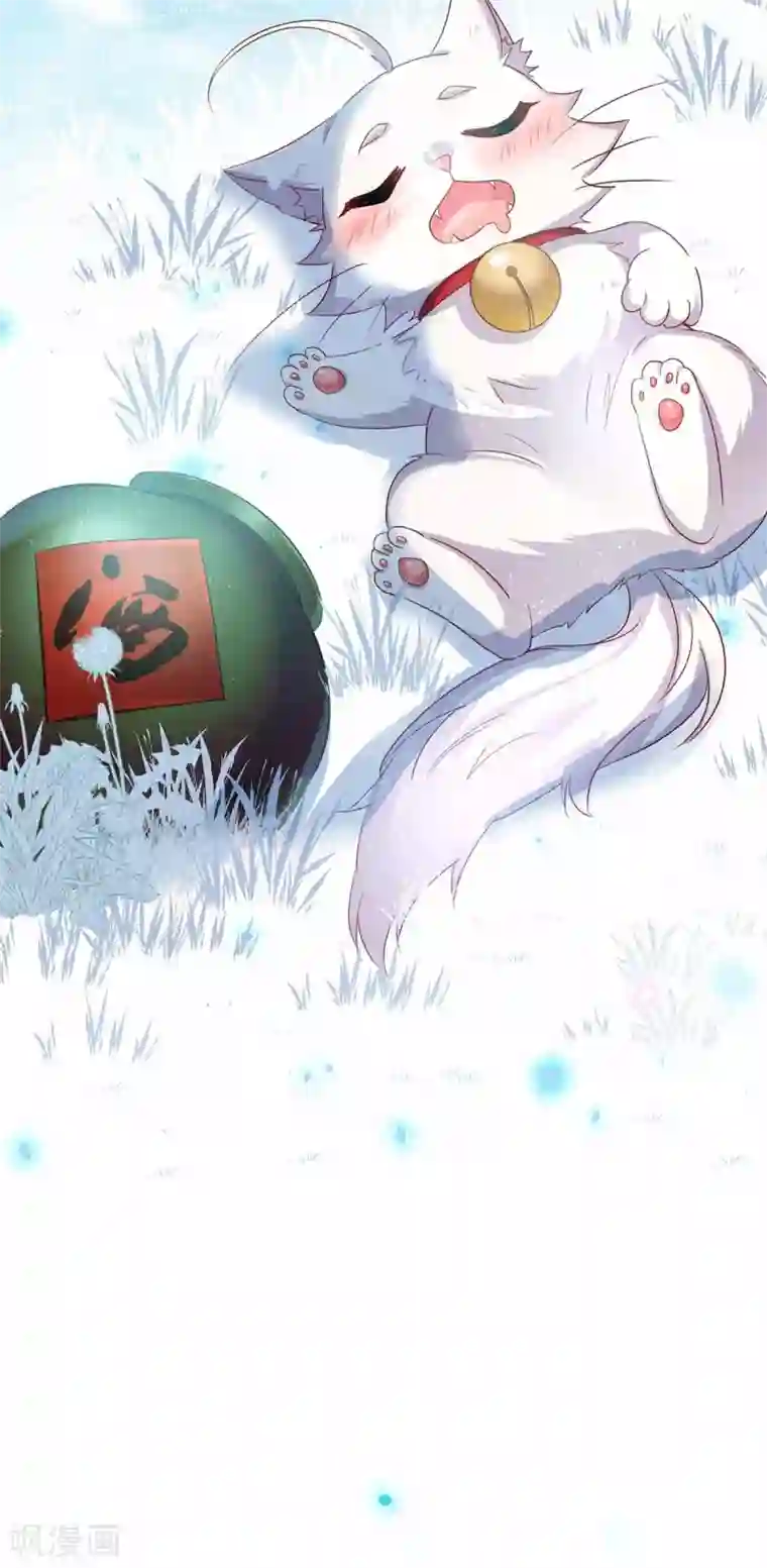 我在异界养男神：神医九小姐第78话 选夫标准