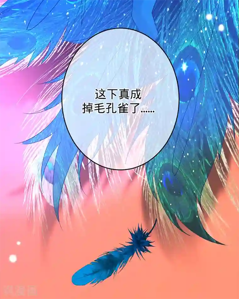 以婚之名第51话 苍鹰归来