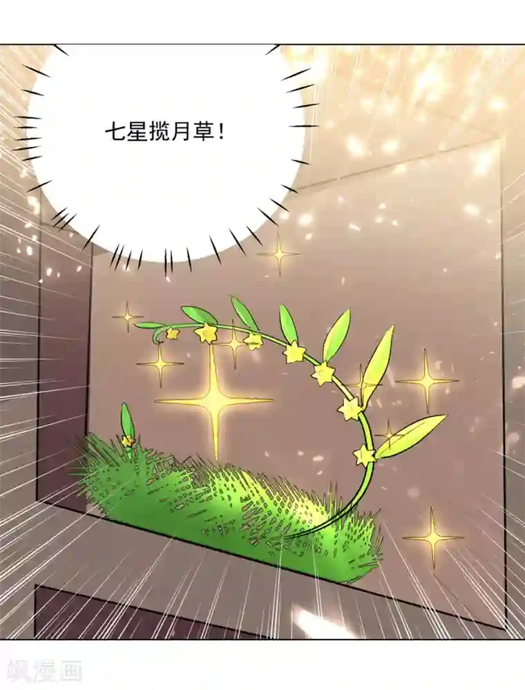 凌天神帝第167话 传道大师