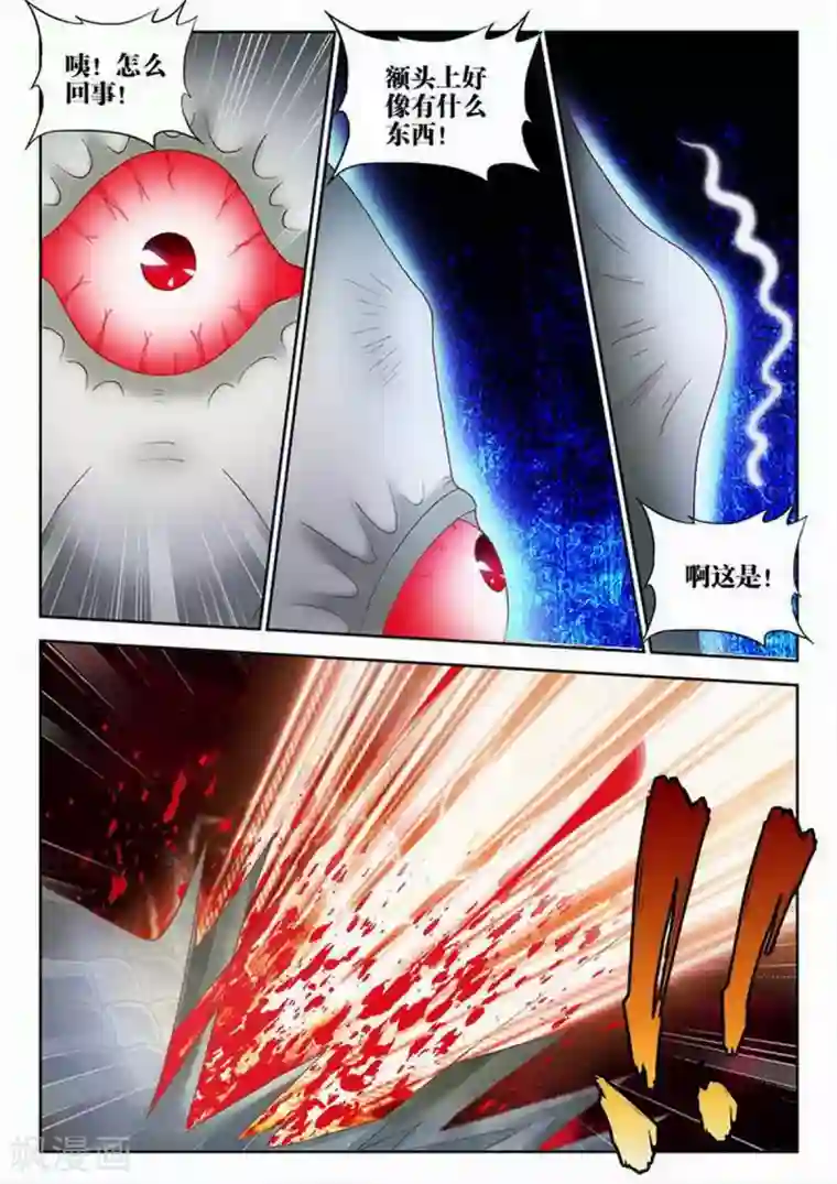 外星人饲养手册第212话