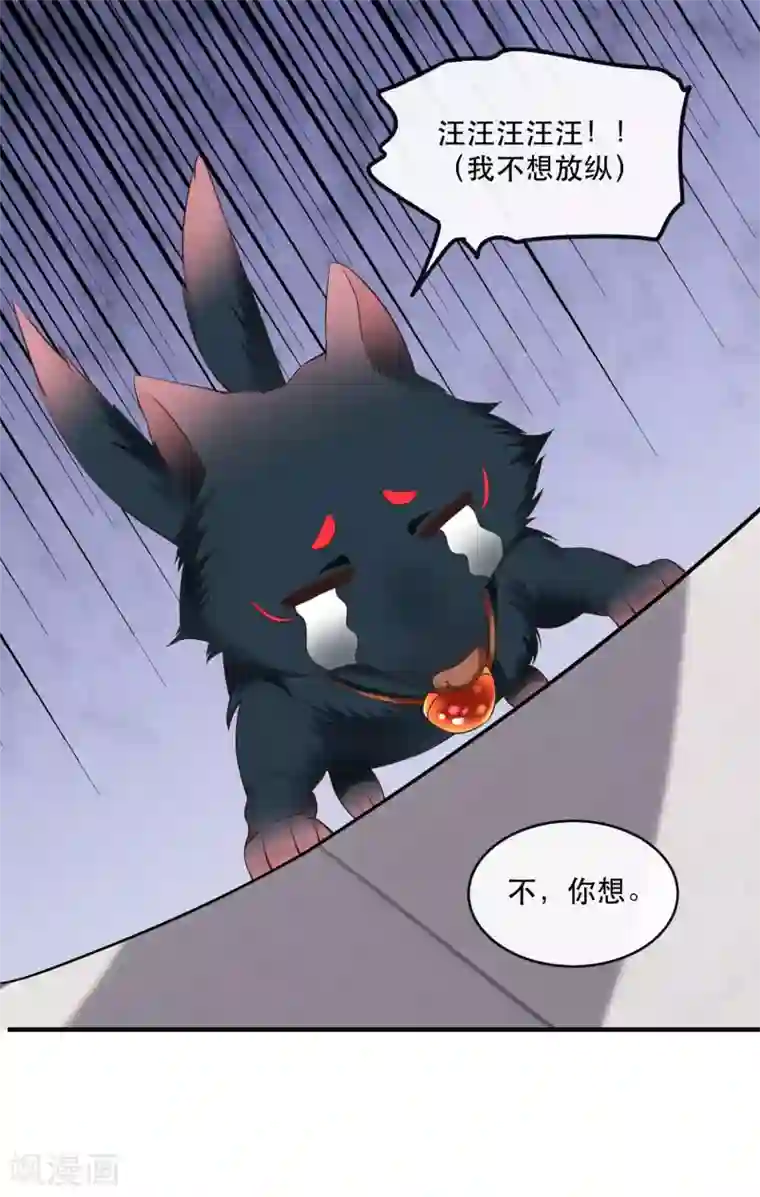 这个王妃路子野第53话 放你出去，一日放纵